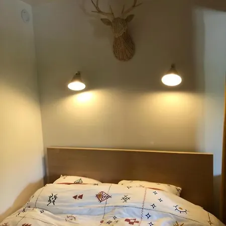 Le Cocon Megevan Apartment
